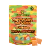 Mango Madness Hybrid | 100MG | 10 THC Gummies | 10MG EA